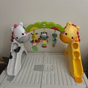 Fisher Price Baby Gym